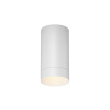 Уличный потолочный светодиодный светильник Maytoni Luxe O500CL-L5W3K