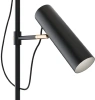 Торшер Maytoni Bansky MOD129FL-01B