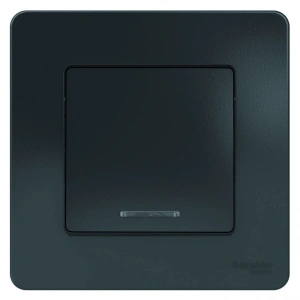 BLNVS010116 Systeme Electric Schneider Blanca цвет антрацит