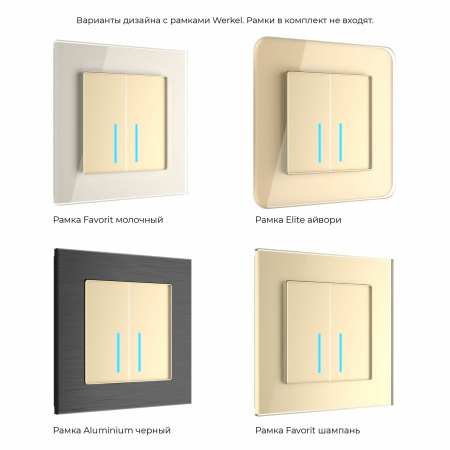 W4520611 Werkel Werkel механизмы сенсорные шампань