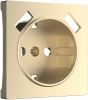 Накладка для USB розетки шампань Werkel Встраиваемые механизмы шампань W1179511