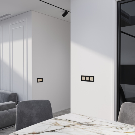 W4523011 Werkel Werkel механизмы сенсорные шампань