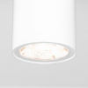 Уличный потолочный светильник Light LED IP65 Elektrostandard 35129/H белый