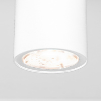Уличный потолочный светильник Light LED IP65 Elektrostandard 35129/H белый