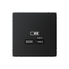 Высокоскоростная розетка USB тип-С Systeme Electric ArtGallery карбон GAL001027