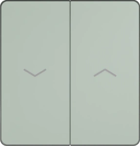 FSE000819 Systeme Electric Infinity цвет Таежное утро