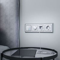 W1171506 Werkel Werkel механизмы серебряные