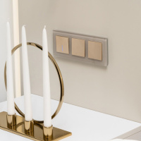 W1110010 Werkel Werkel механизмы шампань рифленые