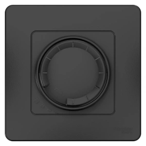 BLNSS040016 Systeme Electric Schneider Blanca цвет антрацит