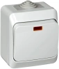 Выключатель 1-клавишный с подсветкой Systeme Electric Etude, серый BA10-045C