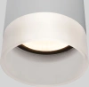 Уличный потолочный светильник Light LED 2107 IP54 Elektrostandard 35140/H серый