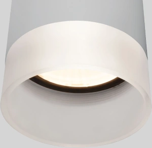 Уличный потолочный светильник Light LED 2107 IP54 Elektrostandard 35140/H серый