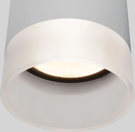 Уличный потолочный светильник Light LED 2107 IP54 Elektrostandard 35140/H серый