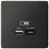Высокоскоростная розетка USB А+С Systeme Electric ArtGallery БАЗАЛЬТ GAL001429