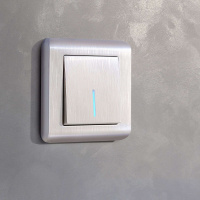 W1112113 Werkel Werkel механизмы перламутровые рифленые