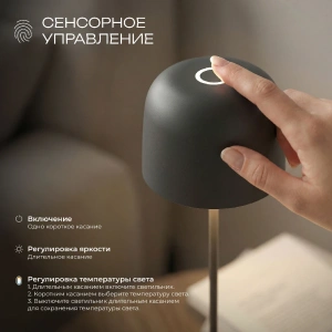 Компактный светодиодный настольный светильник Bitty чёрный IP54 Elektrostandard TL70260