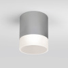 Уличный потолочный светильник Light LED 2107 IP54 Elektrostandard 35140/H серый