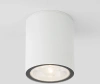 Уличный потолочный светильник Light LED IP65 Elektrostandard 35131/H белый