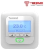 Терморегулятор Thermoreg TI-950 (CN499)